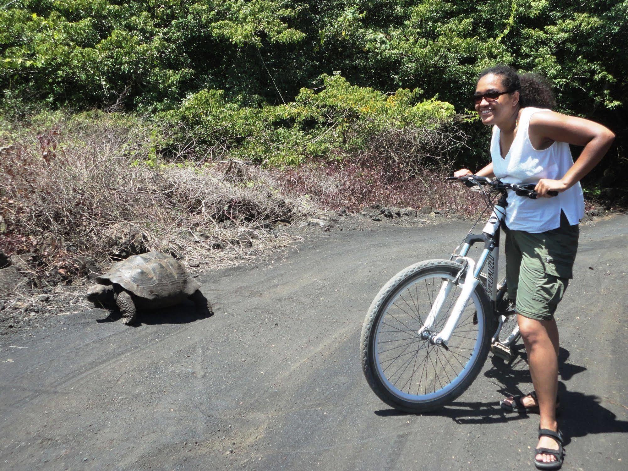 Iguana Crossing Boutique Hotel Puerto Villamil Zewnętrze zdjęcie